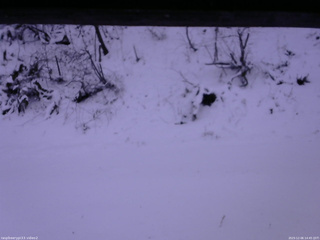 長野県菅平高原 ゆたか山荘 南側 2025/12/06 14:45