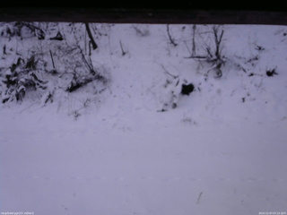 長野県菅平高原 ゆたか山荘 南側 2025/12/07 07:15