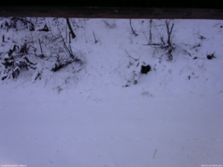 長野県菅平高原 ゆたか山荘 南側 2025/12/07 08:00