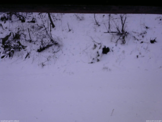 長野県菅平高原 ゆたか山荘 南側 2025/12/07 14:15