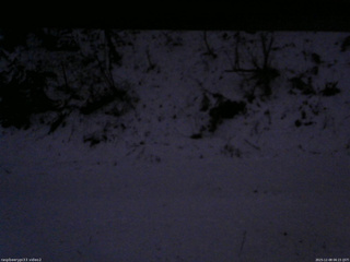 長野県菅平高原 ゆたか山荘 南側 2025/12/08 06:15