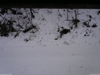 長野県菅平高原 ゆたか山荘 南側 2025/12/08 06:30