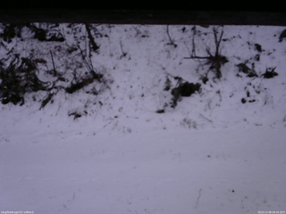 長野県菅平高原 ゆたか山荘 南側 2025/12/08 06:45