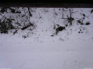 長野県菅平高原 ゆたか山荘 南側 2025/12/08 07:00