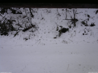 長野県菅平高原 ゆたか山荘 南側 2025/12/08 07:15