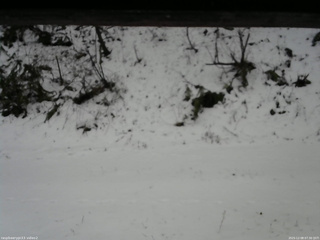 長野県菅平高原 ゆたか山荘 南側 2025/12/08 07:30