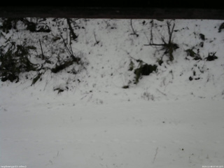 長野県菅平高原 ゆたか山荘 南側 2025/12/08 07:45