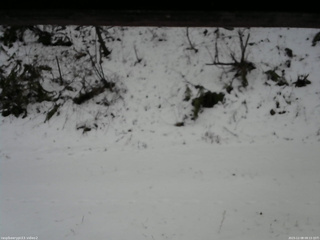 長野県菅平高原 ゆたか山荘 南側 2025/12/08 08:15