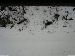 長野県菅平高原 ゆたか山荘 南側 2025/12/08 08:30