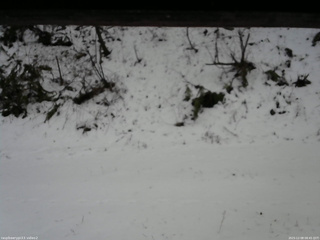 長野県菅平高原 ゆたか山荘 南側 2025/12/08 08:45