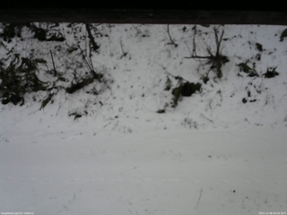 長野県菅平高原 ゆたか山荘 南側 2025/12/08 09:00