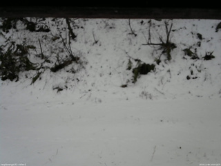 長野県菅平高原 ゆたか山荘 南側 2025/12/08 10:00