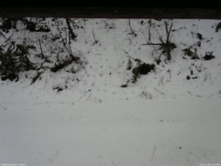 長野県菅平高原 ゆたか山荘 南側 2025/12/08 10:15