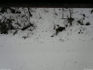 長野県菅平高原 ゆたか山荘 南側 2025/12/08 10:30