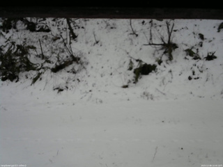 長野県菅平高原 ゆたか山荘 南側 2025/12/08 10:45