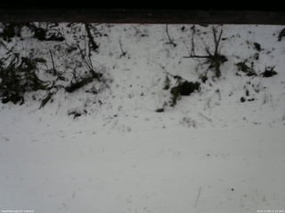 長野県菅平高原 ゆたか山荘 南側 2025/12/08 11:15