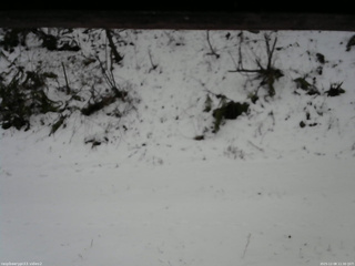 長野県菅平高原 ゆたか山荘 南側 2025/12/08 11:30