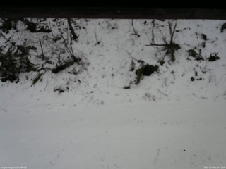 長野県菅平高原 ゆたか山荘 南側 2025/12/08 11:45