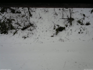 長野県菅平高原 ゆたか山荘 南側 2025/12/08 12:00