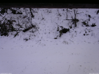 長野県菅平高原 ゆたか山荘 南側 2025/12/08 12:15