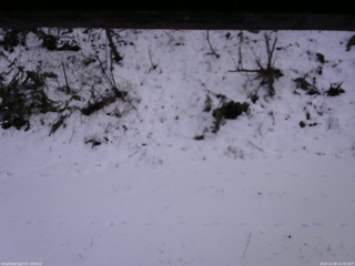 長野県菅平高原 ゆたか山荘 南側 2025/12/08 12:30