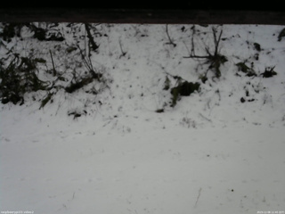 長野県菅平高原 ゆたか山荘 南側 2025/12/08 12:45