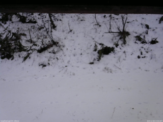 長野県菅平高原 ゆたか山荘 南側 2025/12/08 13:00