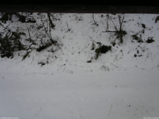 長野県菅平高原 ゆたか山荘 南側 2025/12/08 13:30