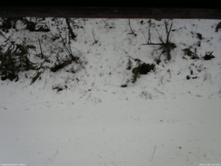 長野県菅平高原 ゆたか山荘 南側 2025/12/08 13:45