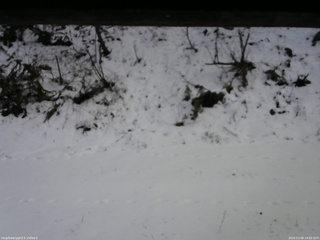 長野県菅平高原 ゆたか山荘 南側 2025/12/08 14:00