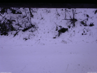 長野県菅平高原 ゆたか山荘 南側 2025/12/08 14:30