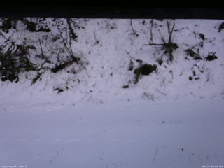 長野県菅平高原 ゆたか山荘 南側 2025/12/08 14:45