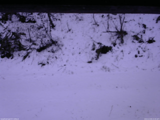 長野県菅平高原 ゆたか山荘 南側 2025/12/08 15:30