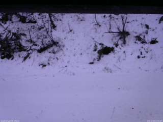 長野県菅平高原 ゆたか山荘 南側 2025/12/08 15:45