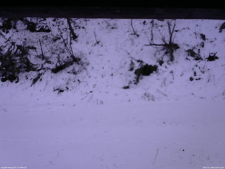 長野県菅平高原 ゆたか山荘 南側 2025/12/08 16:00