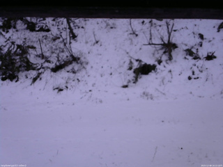 長野県菅平高原 ゆたか山荘 南側 2025/12/08 16:15