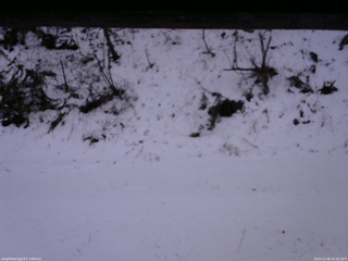 長野県菅平高原 ゆたか山荘 南側 2025/12/08 16:30