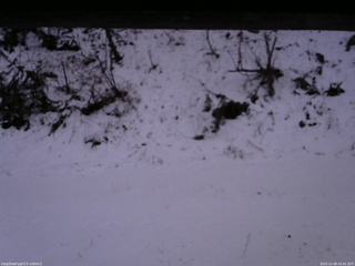 長野県菅平高原 ゆたか山荘 南側 2025/12/08 16:45