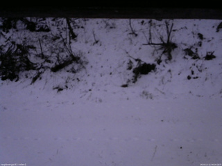 長野県菅平高原 ゆたか山荘 南側 2025/12/11 06:30