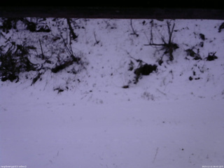 長野県菅平高原 ゆたか山荘 南側 2025/12/11 06:45