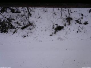 長野県菅平高原 ゆたか山荘 南側 2025/12/11 07:00