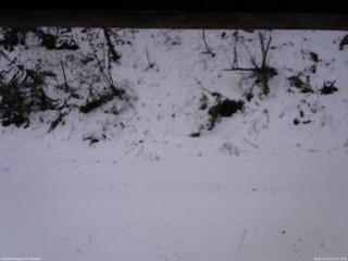 長野県菅平高原 ゆたか山荘 南側 2025/12/11 07:15