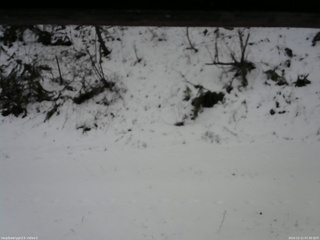 長野県菅平高原 ゆたか山荘 南側 2025/12/11 07:30