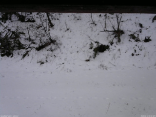 長野県菅平高原 ゆたか山荘 南側 2025/12/11 08:00