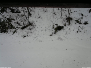 長野県菅平高原 ゆたか山荘 南側 2025/12/11 08:30