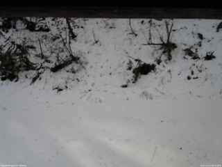 長野県菅平高原 ゆたか山荘 南側 2025/12/11 08:45