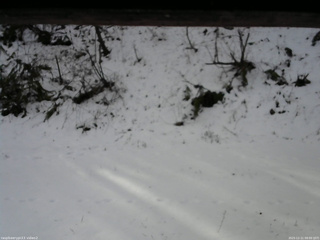 長野県菅平高原 ゆたか山荘 南側 2025/12/11 09:00