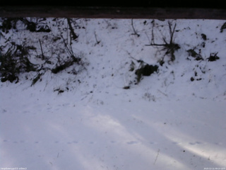 長野県菅平高原 ゆたか山荘 南側 2025/12/11 09:15