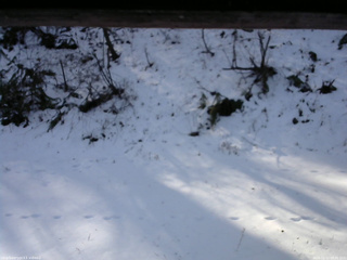 長野県菅平高原 ゆたか山荘 南側 2025/12/11 09:30