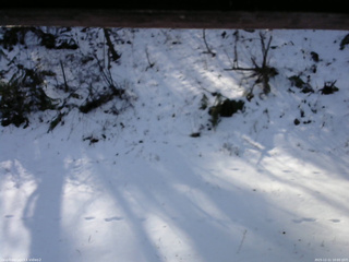 長野県菅平高原 ゆたか山荘 南側 2025/12/11 10:00